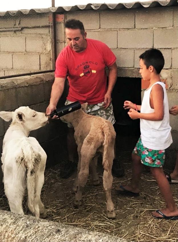 «La mayoría de ganaderos está abandonando el cebo»