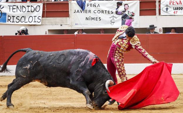 El novillero José Rojo volverá a torear en Las Ventas este jueves