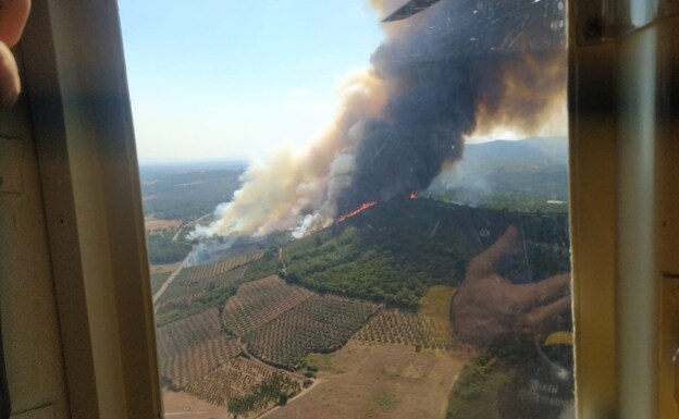 El fuego calcina unas 200 hectáreas en Santa Cruz de Paniagua