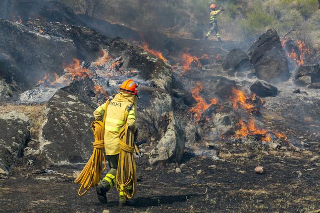 Los incendios que devoran miles de hectáreas, en imágenes