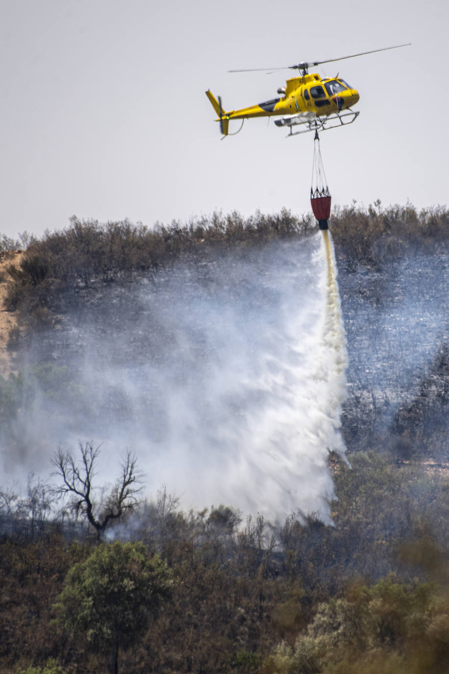 Las imágenes del incendio en Casas de Miravete este domingo