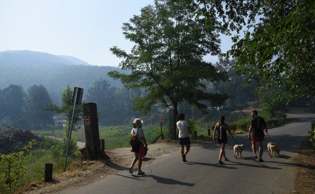 El incendio forestal de Jerte evoluciona de manera favorable