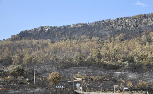 UPA-UCE reclama a Sánchez la declaración de zona catastrófica por los incendios