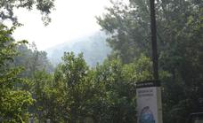 La DOP Cereza del Jerte traslada su apoyo a las familias afectadas por los incendios