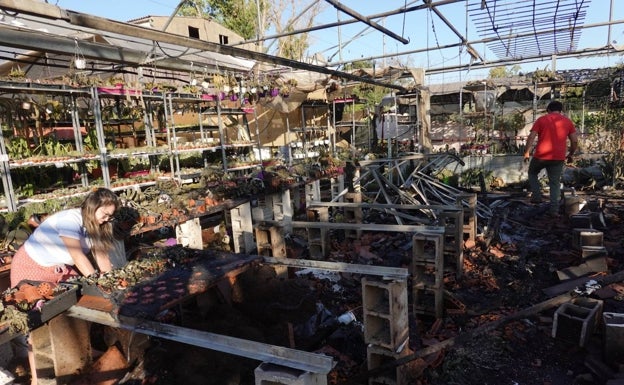 Un incendio arrasa miles de cactus en el invernadero de Badajoz