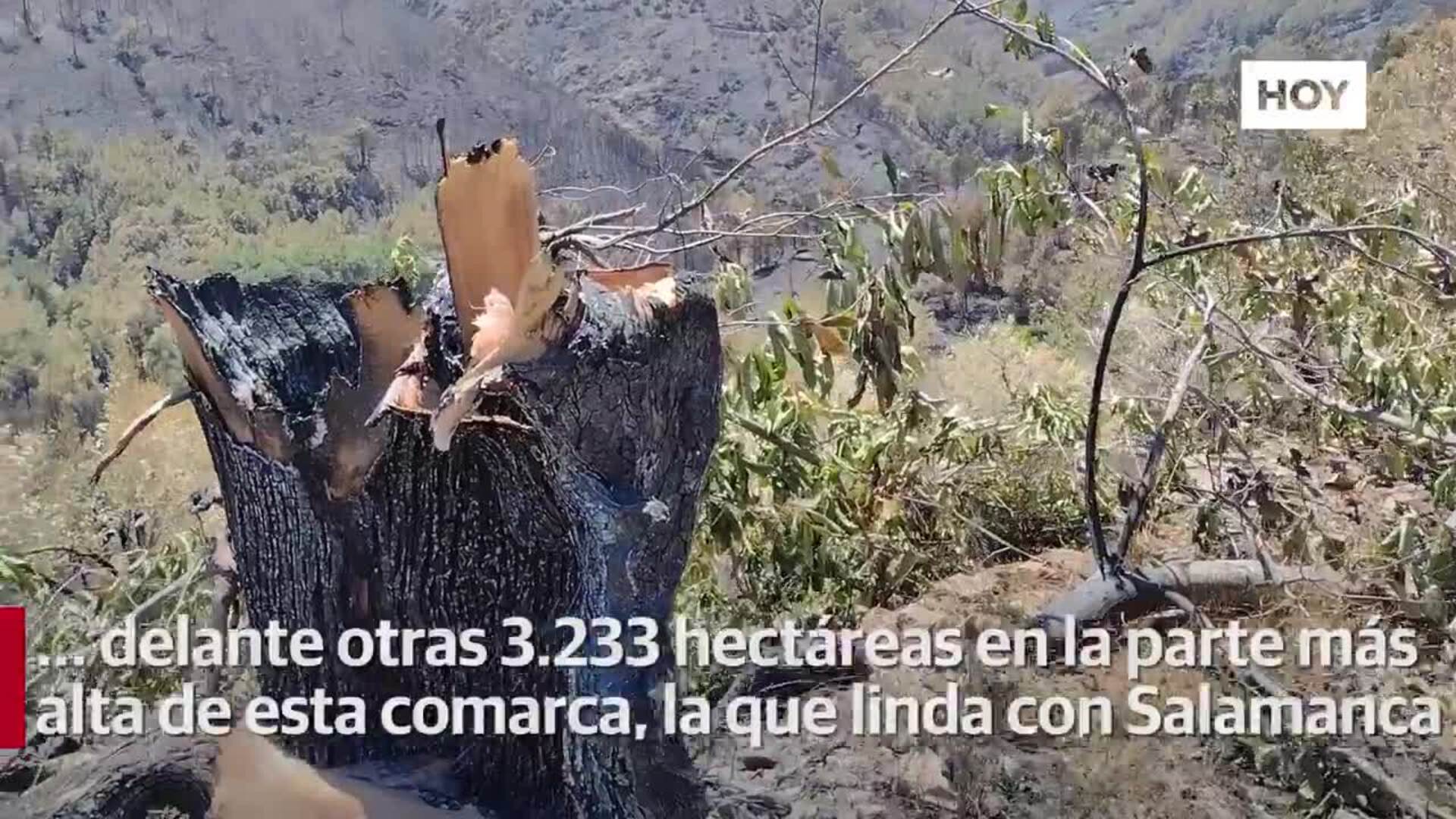 Así es la zona cero del incendio de Las Hurdes
