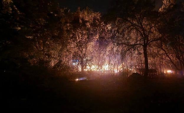 Más de cien palmeras del vivero municipal de Mérida se queman en el incendio de El Prado