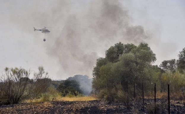 Estabilizado el incendio en la urbanización Los Rostros en Badajoz