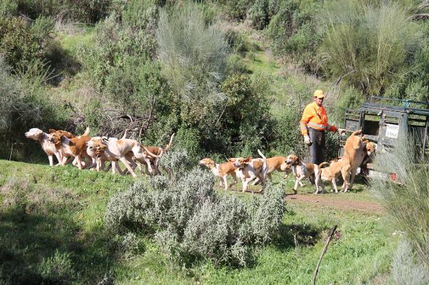 Respaldo histórico a la montería y la rehala con su declaración como BIC