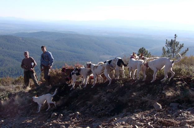 Siete siglos de perros de caza y caracolas