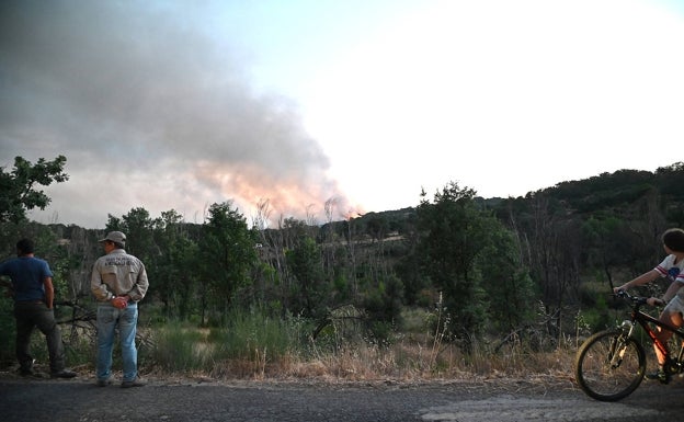 El incendio de La Vera se da por estabilizado