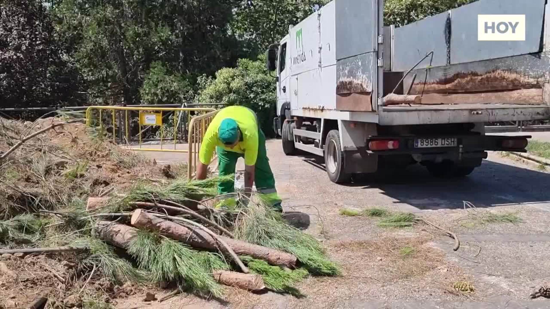 ​Reventón de tubería por un pino​