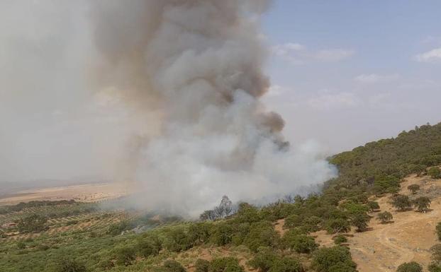 Medios del Infoex trabajan en un fuego de nivel 1 de peligrosidad en Puebla de Alcocer