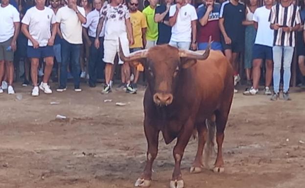 El joven soriano corneado en Torrejoncillo sigue grave en la UCI de Cáceres