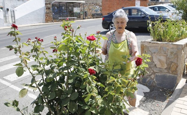 Dolores Durán es una mujer octogenaria que atiende los arriates floreados de San Marquino. Ha puesto un cartel para pedir respeto y que no las roben./ARMANDO MÉNDEZ