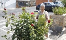 Los jardines particulares que alegran las calles de Cáceres