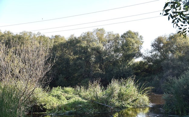 La niña fallecida en el río Jerte en Galisteo era jugadora del Futsi Atlético de Navalcarnero