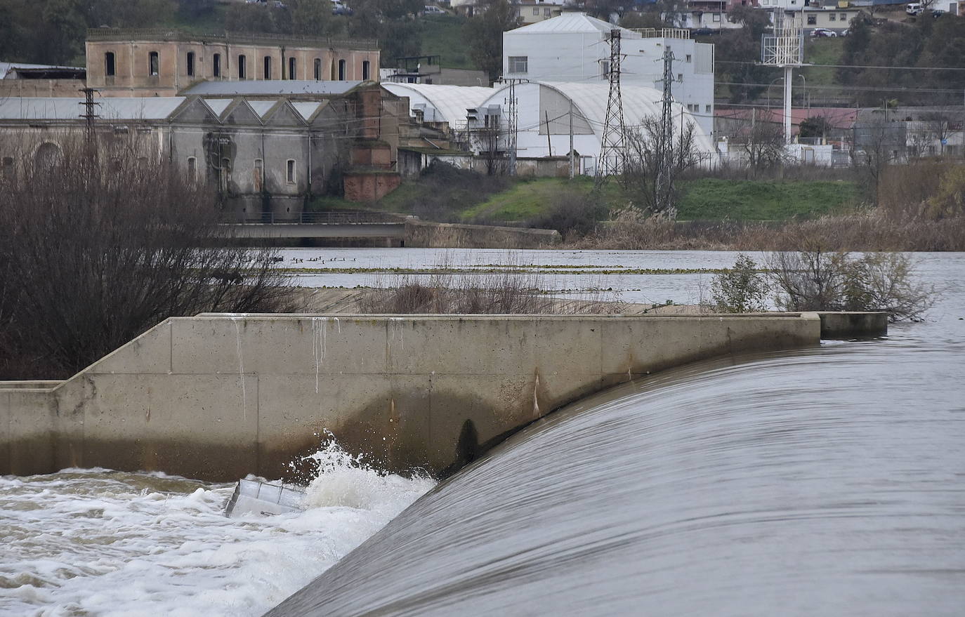 La CHG señalizará las zonas peligrosas del río entre las Vegas Altas y Badajoz