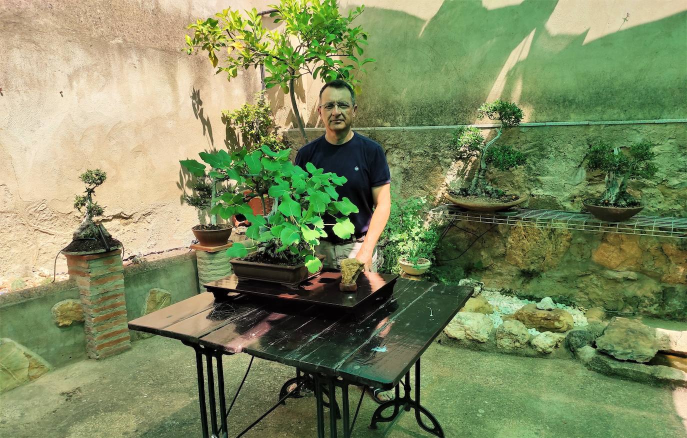 Grandes árboles en pequeño formato