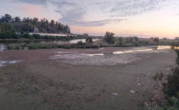 Licitada la primera fase de la restauración fluvial del Guadiana en Villagonzalo