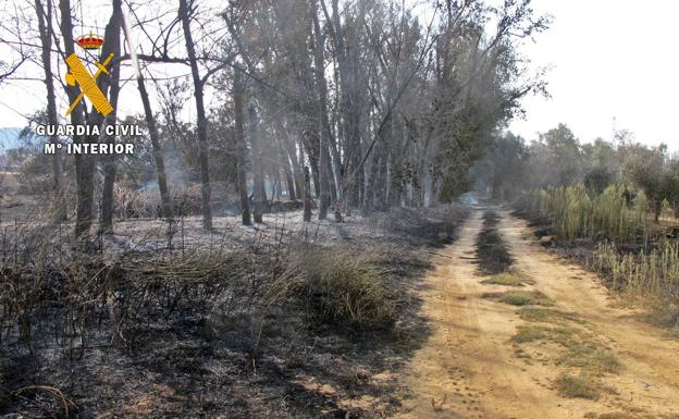 Un vecino de Villagarcía de la Torre, responsable de un incendio forestal en Fuente del Maestre