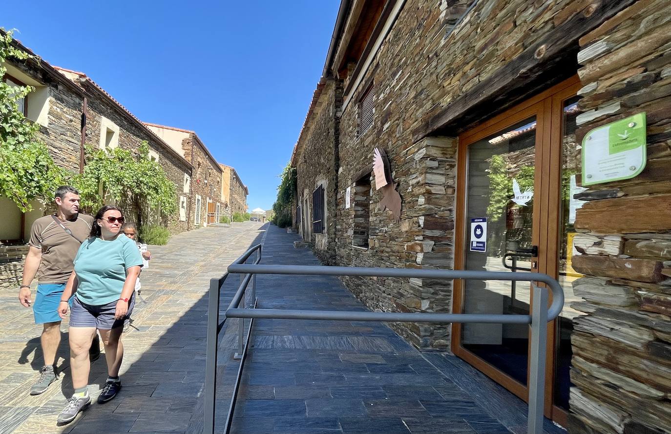 UN RINCÓN CON ENCANTO | El pequeño museo de las aves disecadas