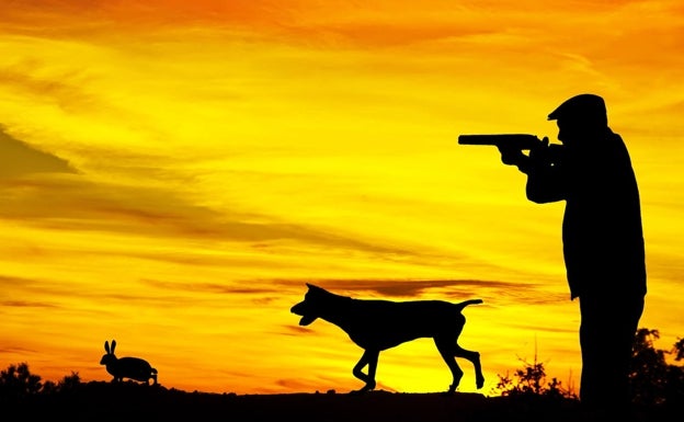 División en el Tribunal Supremo por una sentencia sobre cazadores furtivos de Cáceres