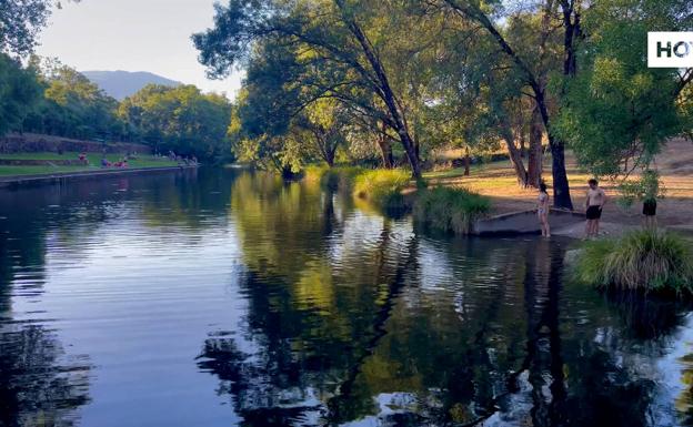 Estas son las cinco noticias con vídeo más vistas de la semana