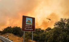 Extremadura ha sufrido tres grandes incendios este verano