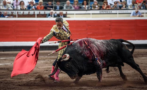 El discreto retorno de Dolores Aguirre