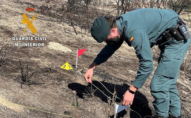 Identificado el responsable de un incendio forestal en Torremenga