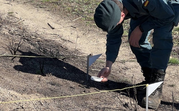 La Guardia Civil logra resolver las causas de 47 incendios y detiene a 11 personas