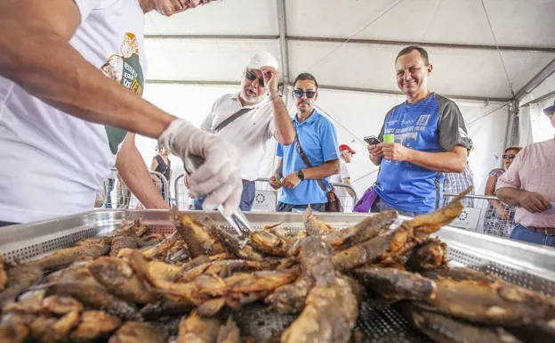 La Fiesta de la Tenca recupera este sábado la degustación popular tras dos años sin celebrarse