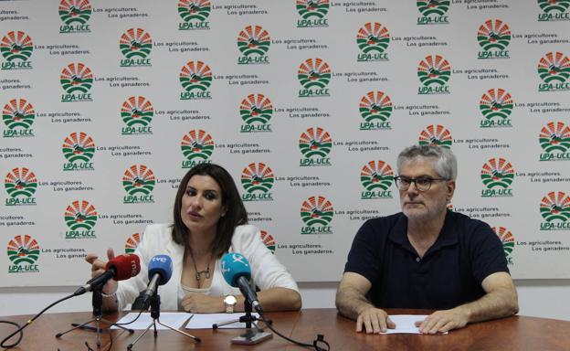 UPA-UCE reclama que la recuperación del vino se traduzca en precios justos