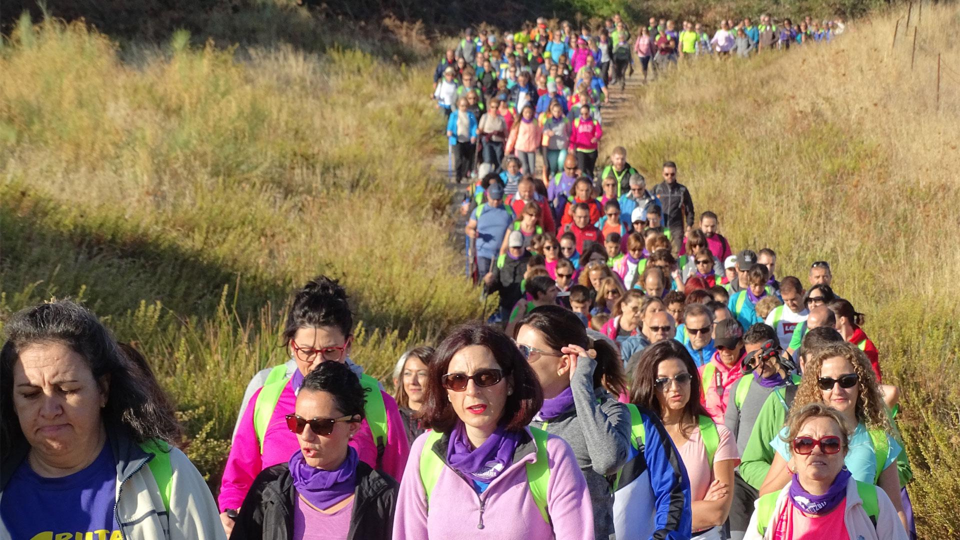 Empleo tradicional / nuevas ocupaciones