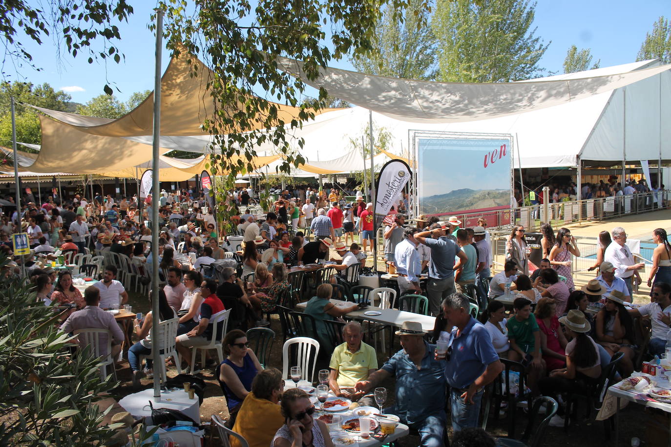 XXXI Día del Jamón de Monesterio, en imágenes