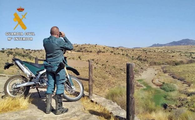 Dos vecinos de Hornachos son sorprendidos con una jaula y un rifle en una zona de linces
