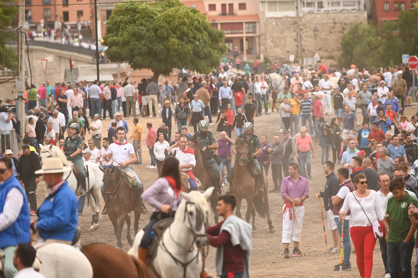 El encierro del Toro de la Vega, en imágenes