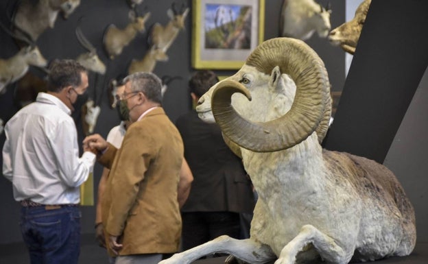 Todas las ferias en Ifeba serán gratuitas hasta la aprobación de una ordenanza