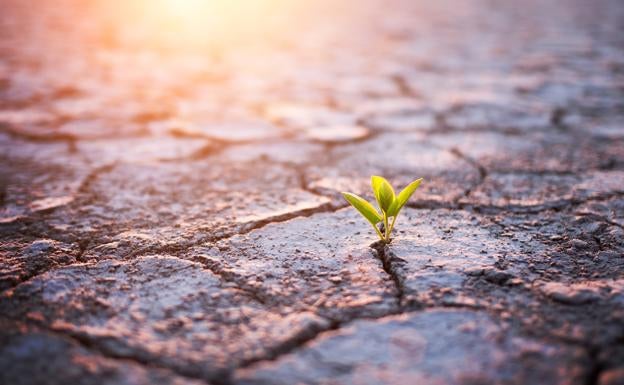 «Combatir el cambio climático es una gran oportunidad de negocio»