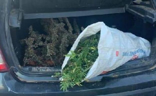 Dos detenidos en Badajoz con más de 23 kilos de marihuana en su vehículo