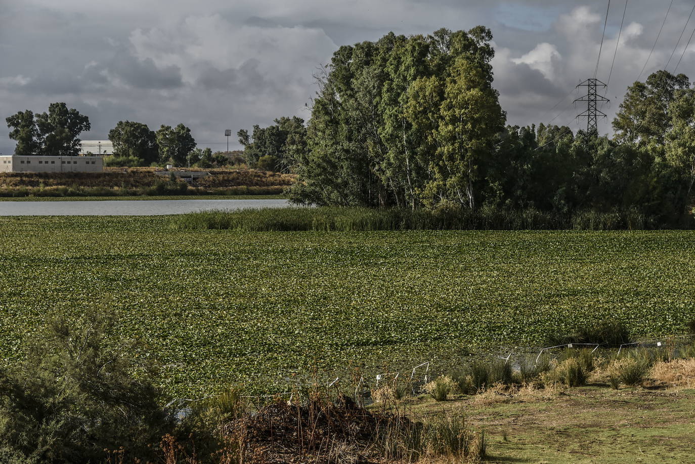 La CHG prevé iniciar las obras del azud de Badajoz a finales de mes o inicios de octubre