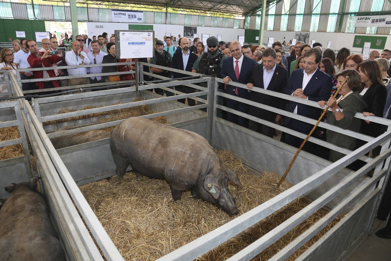 Arranca la Feria de Zafra, que recupera sus expositores y casetas