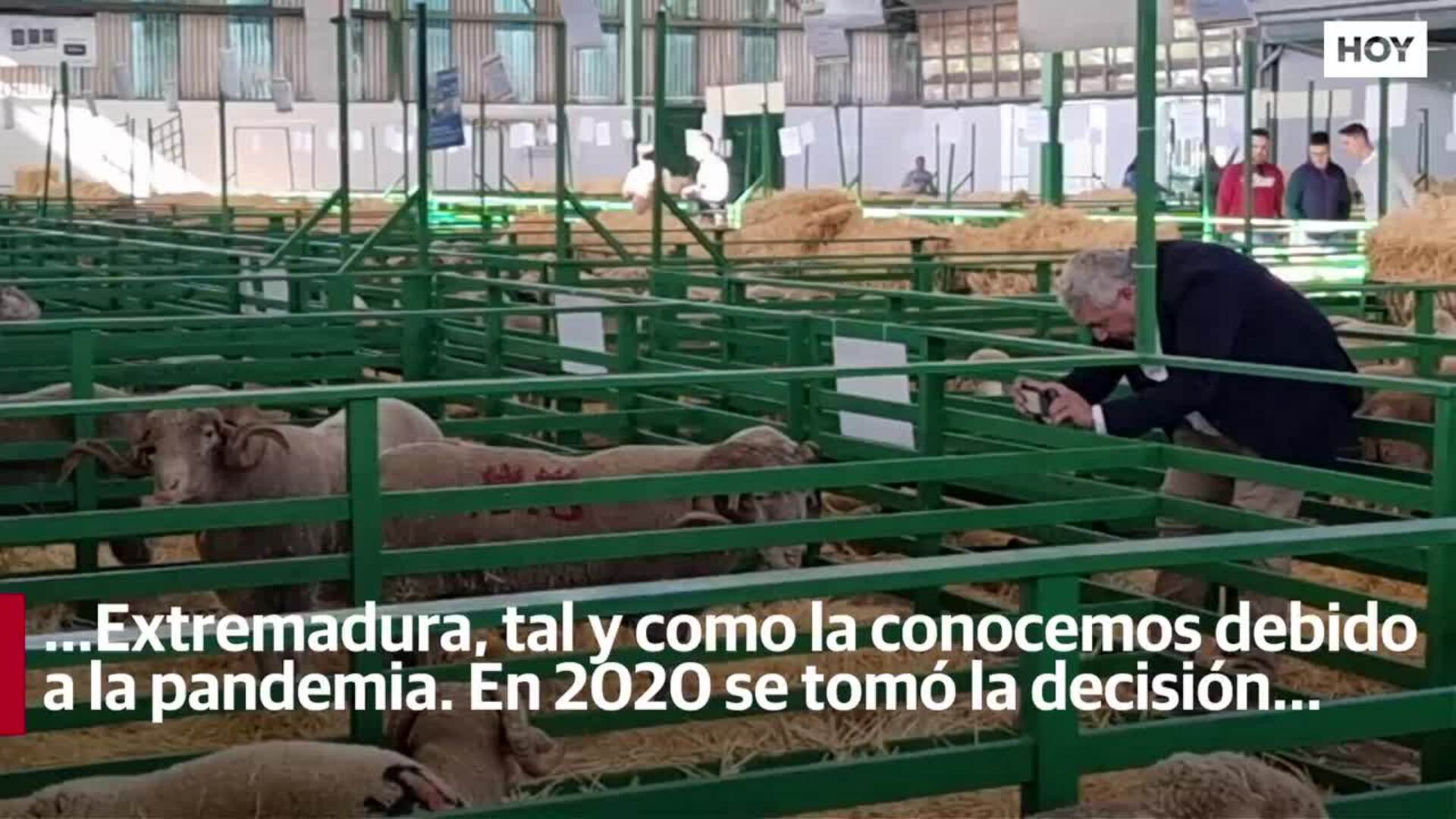 Arranca la Feria de Zafra, que recupera sus expositores y casetas