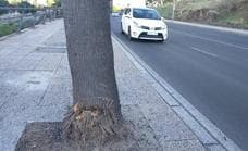 El motorista fallecido en Badajoz tenía 69 años y chocó contra una palmera