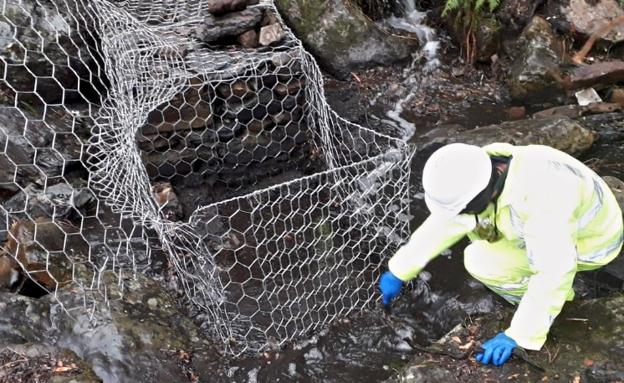 Así restaura la CHT los cauces afectados por los incendios del verano en la provincia de Cáceres