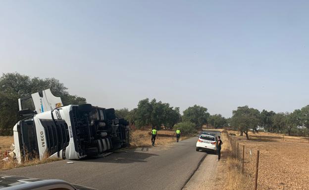 Muere atropellado un hombre de 79 años en Jerez cuando cruzaba la N-435