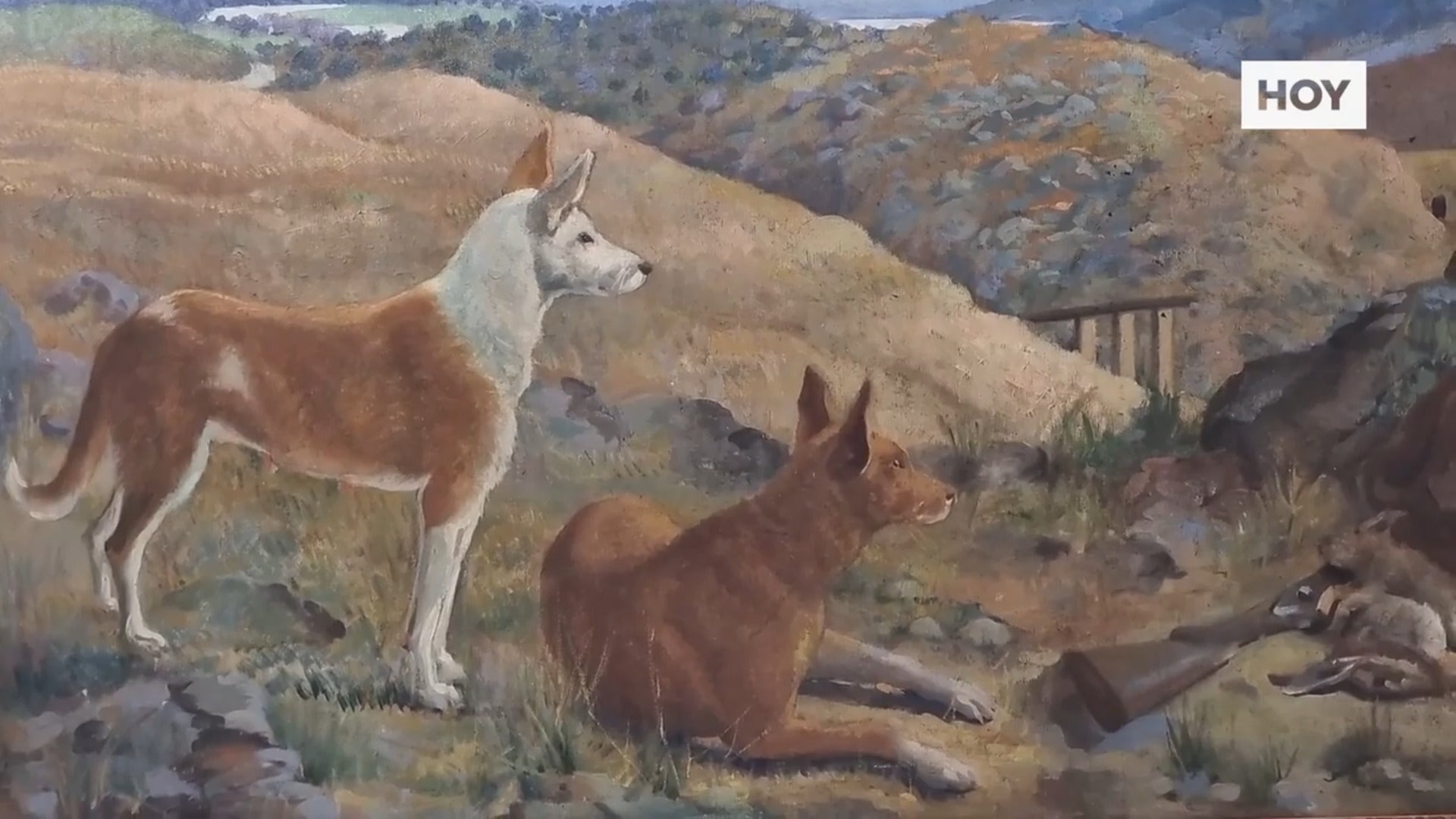 El mundo rural extremeño exhibe su orgullo por la caza