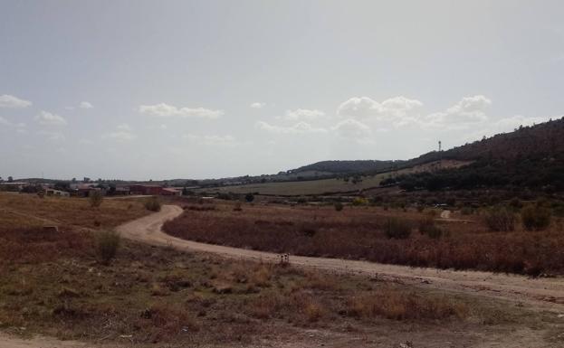 La Junta del Ejido de Alconchel celebra la subasta anual de hierbas y pastos