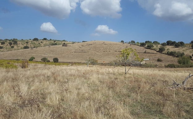 ¿Qué tipo de residuos peligrosos se proyecta tratar en Salvatierra?